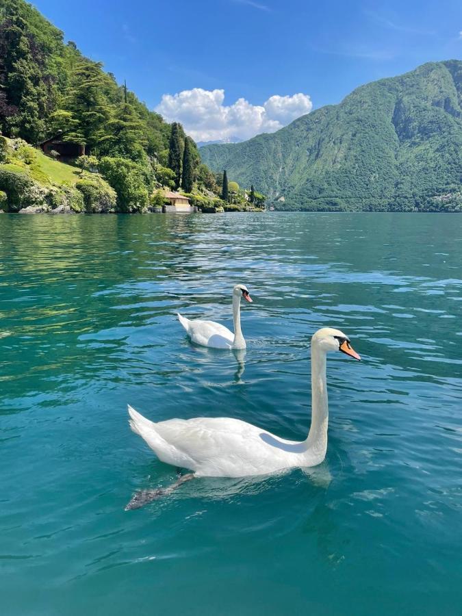 Ferienwohnung Casacamelia 35, 3 Bdrm With View Lake Como Acquaseria Exterior foto